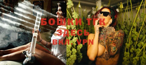прущие грибы Чекалин