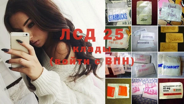 прущие грибы Чекалин