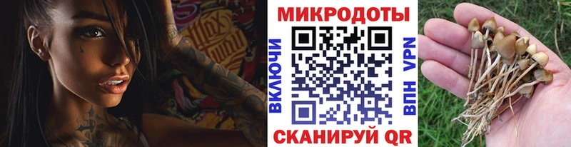 Галлюциногенные грибы Magic Shrooms  Купить где  Курлово 